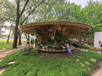 北京海淀公园的花奔展