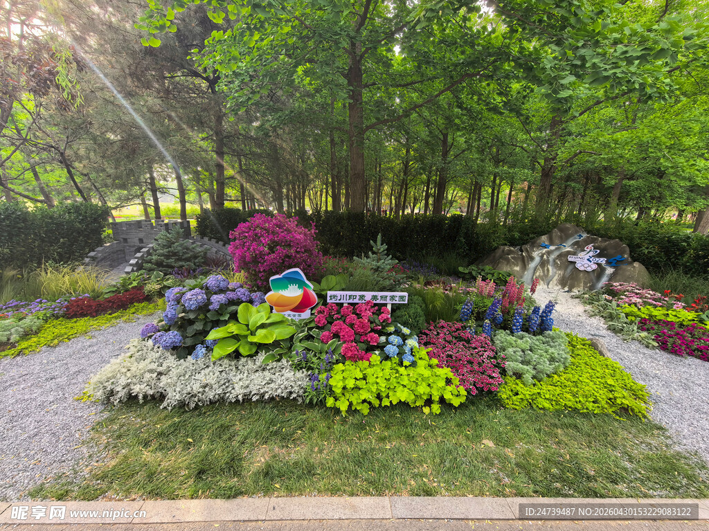 北京海淀公园的花奔展