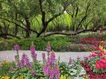 北京海淀公园的花奔展