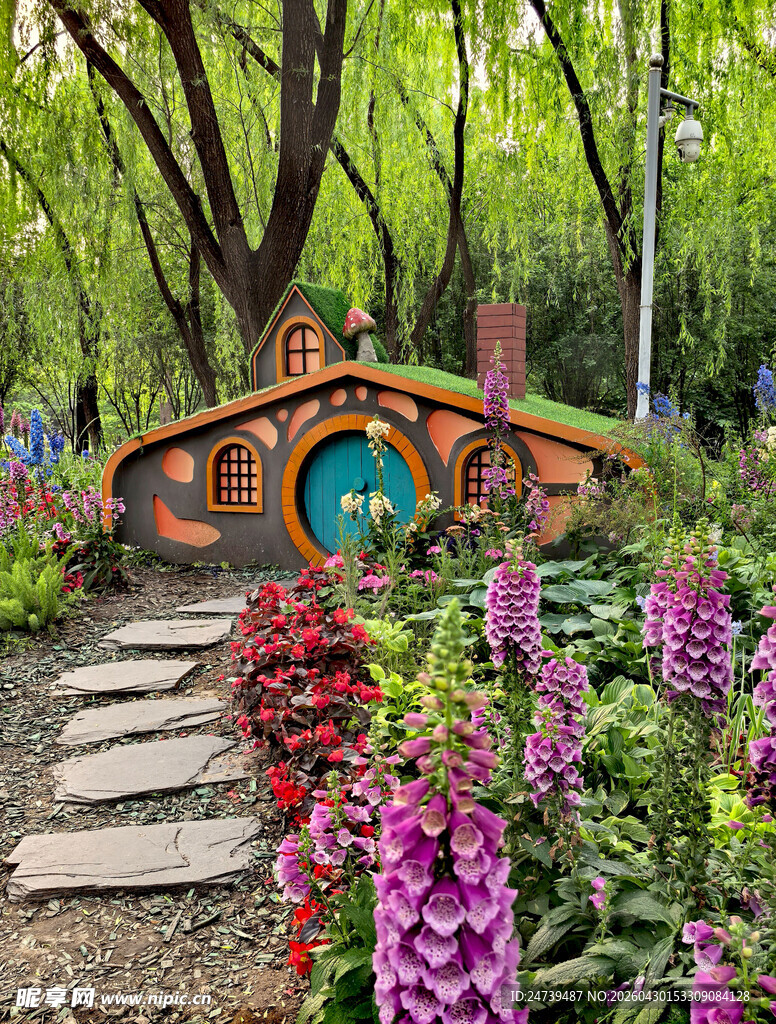 北京海淀公园的花奔展