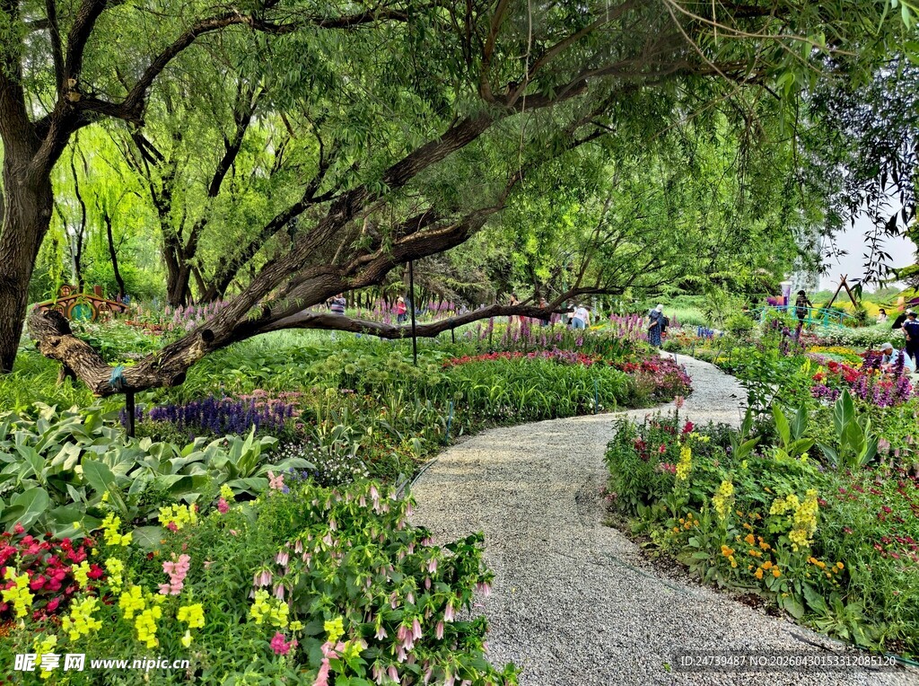 北京海淀公园的花奔展