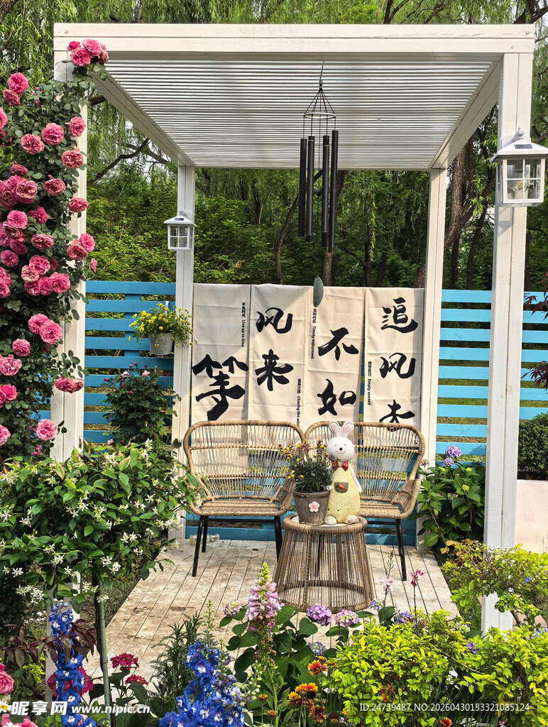 北京海淀公园的花奔展