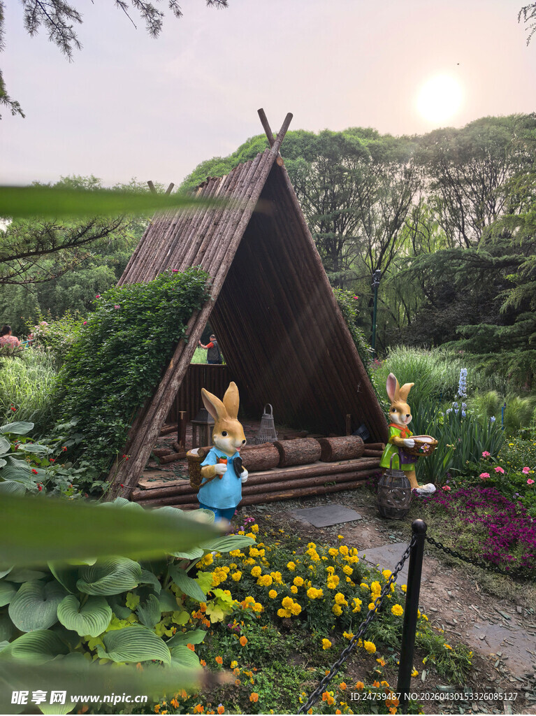 北京海淀公园的花奔展