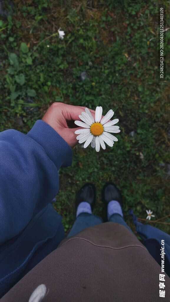 手捧雏菊的俯拍视角