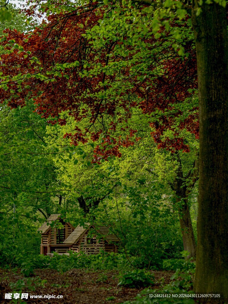 林间小屋