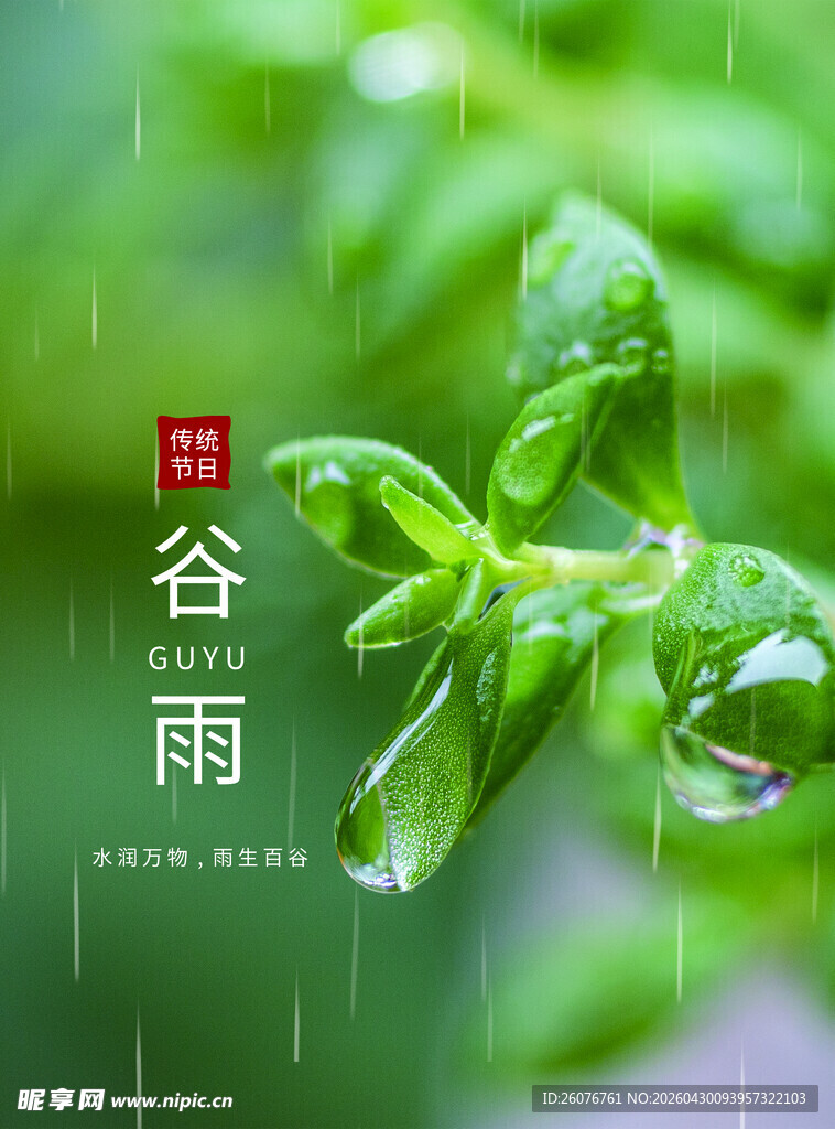 谷雨海报