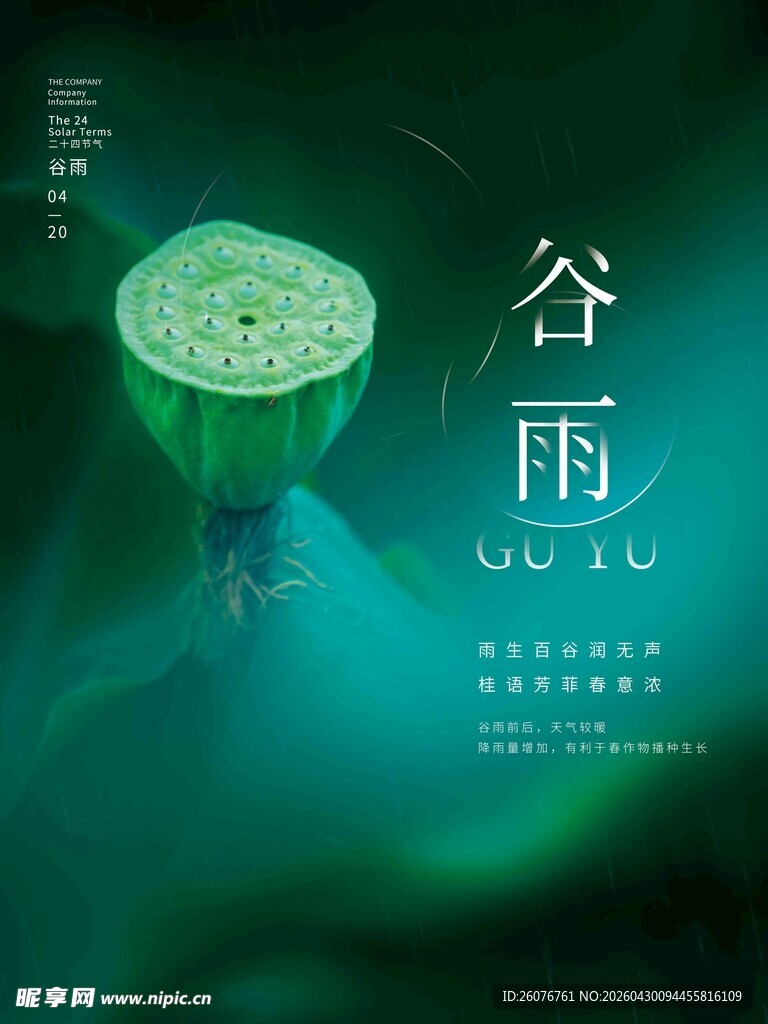 谷雨海报 