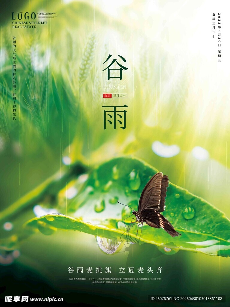谷雨海报 