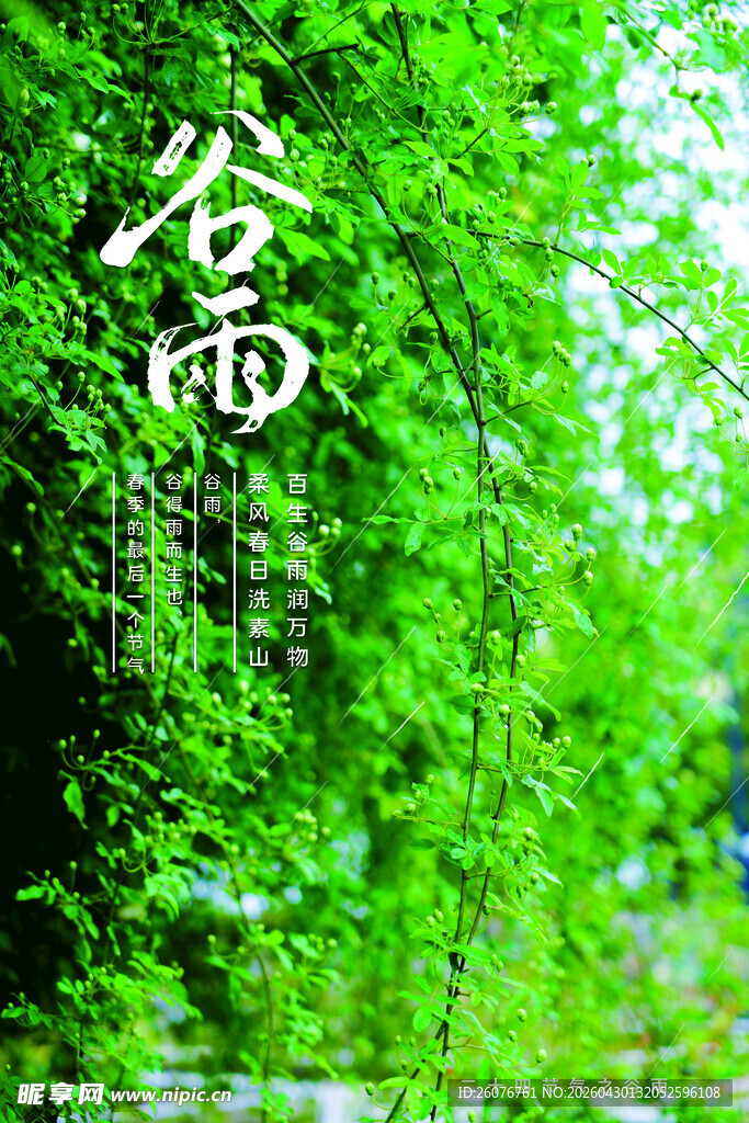 谷雨海报 