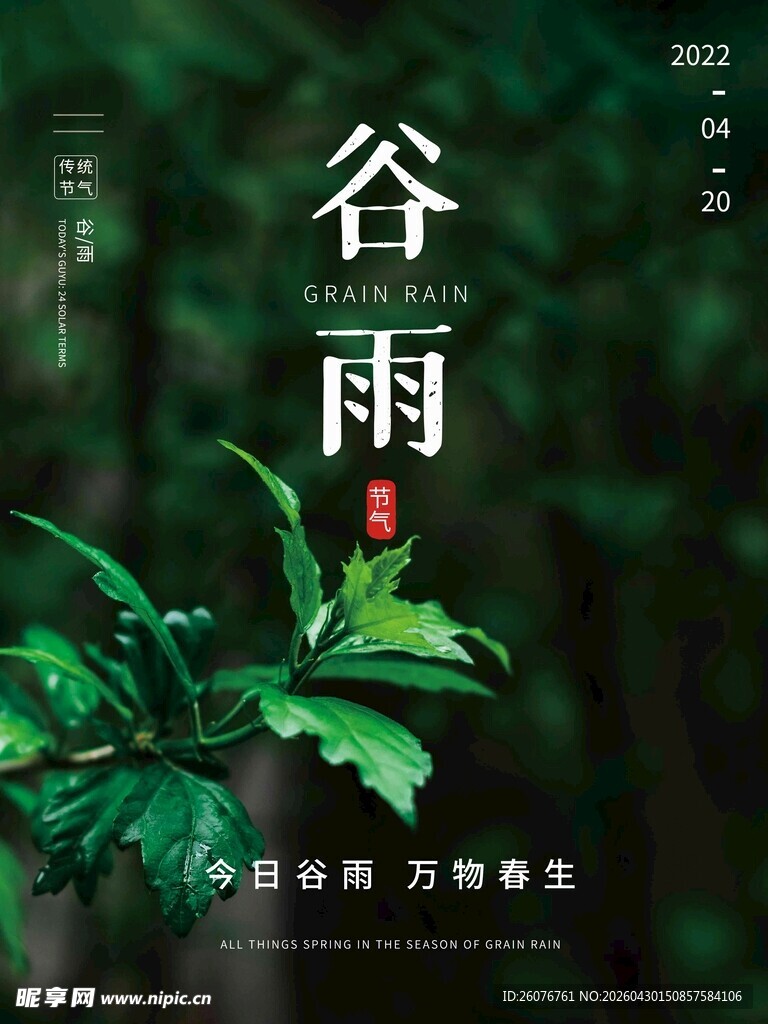 谷雨海报