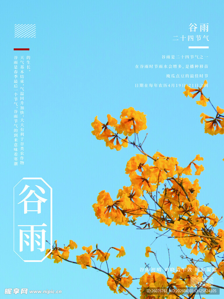 谷雨海报 