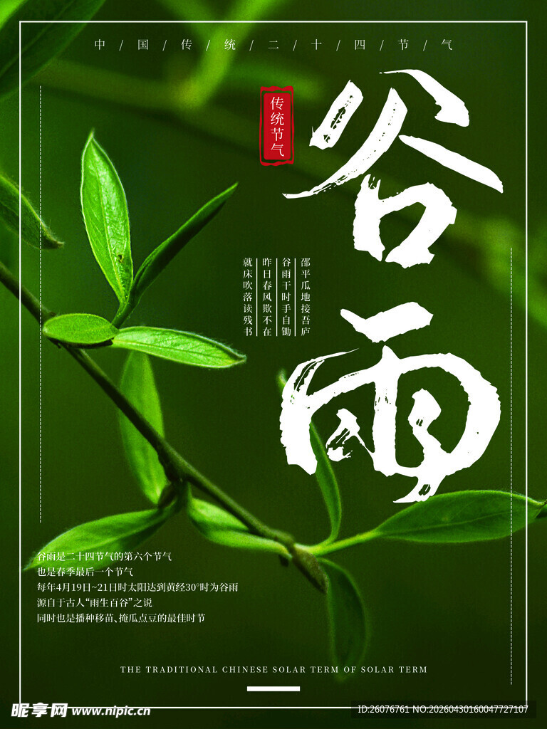 谷雨海报