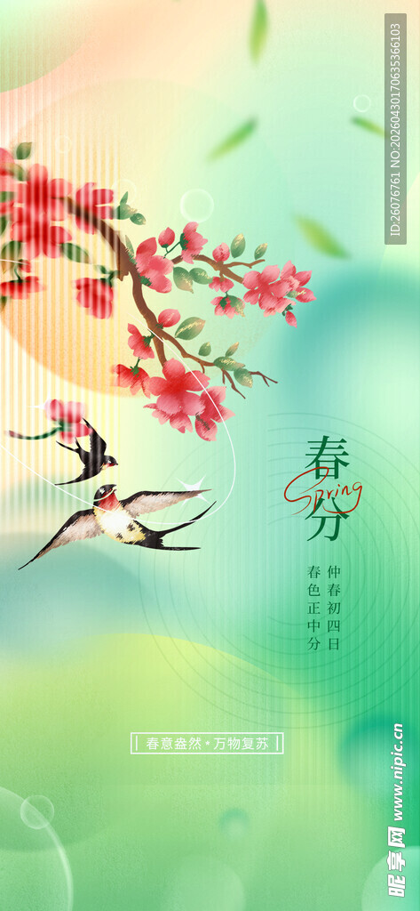 谷雨海报