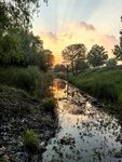 夕阳下的静谧溪边景色