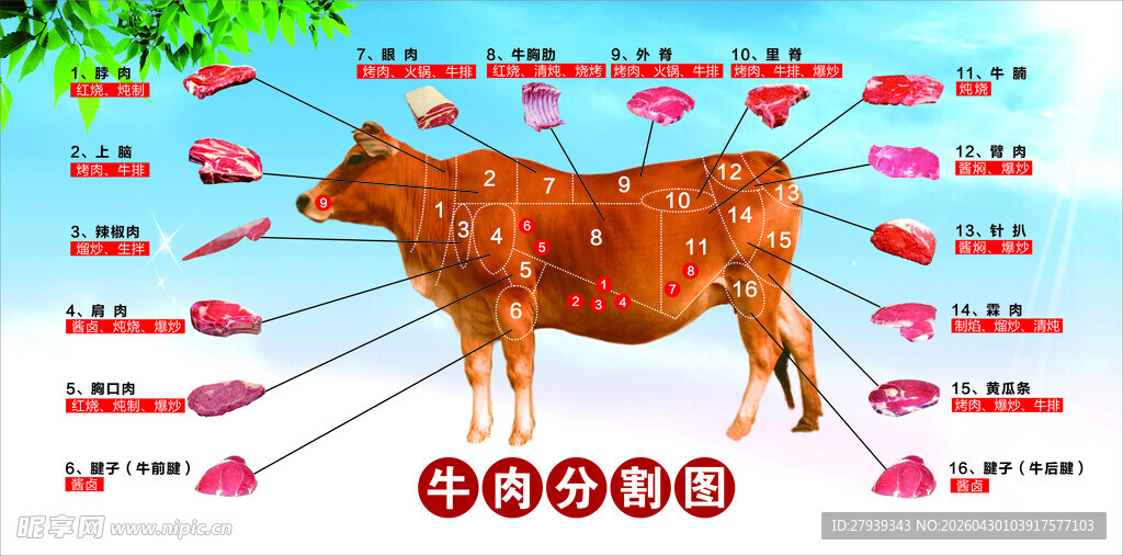 牛肉分割图
