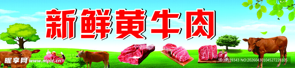 新鲜黄牛肉