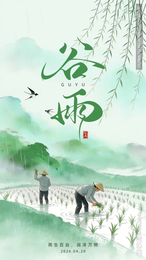谷雨时节田间插秧图景