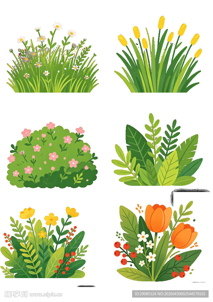 多样绿植花卉矢量插画