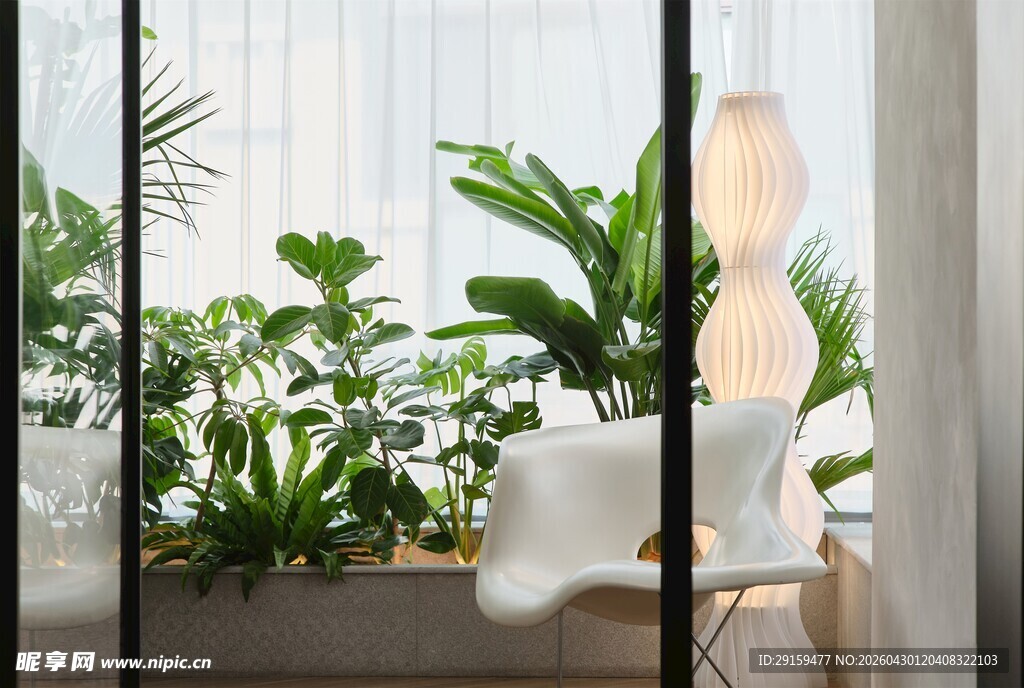 室内绿植与简约家具场景