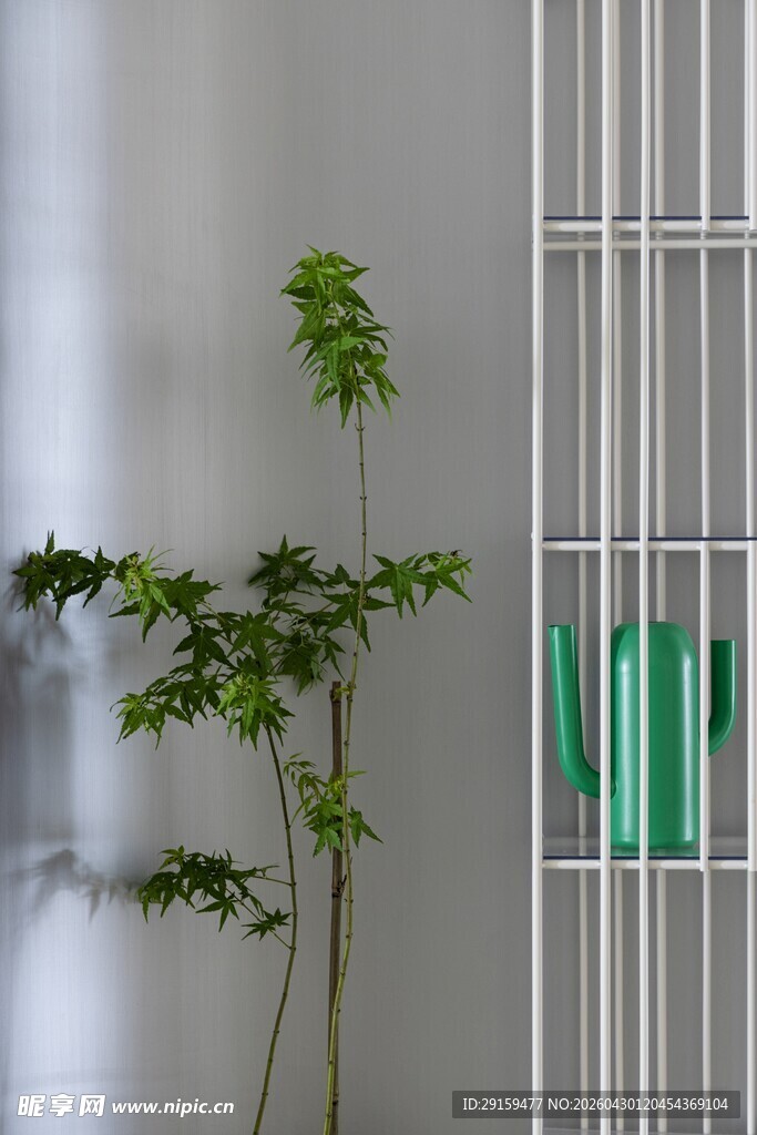 绿植旁的金属置物架