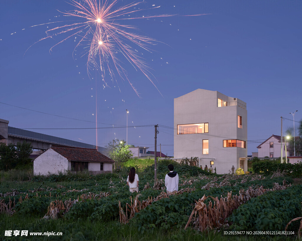 乡村夜空中的绚烂烟花