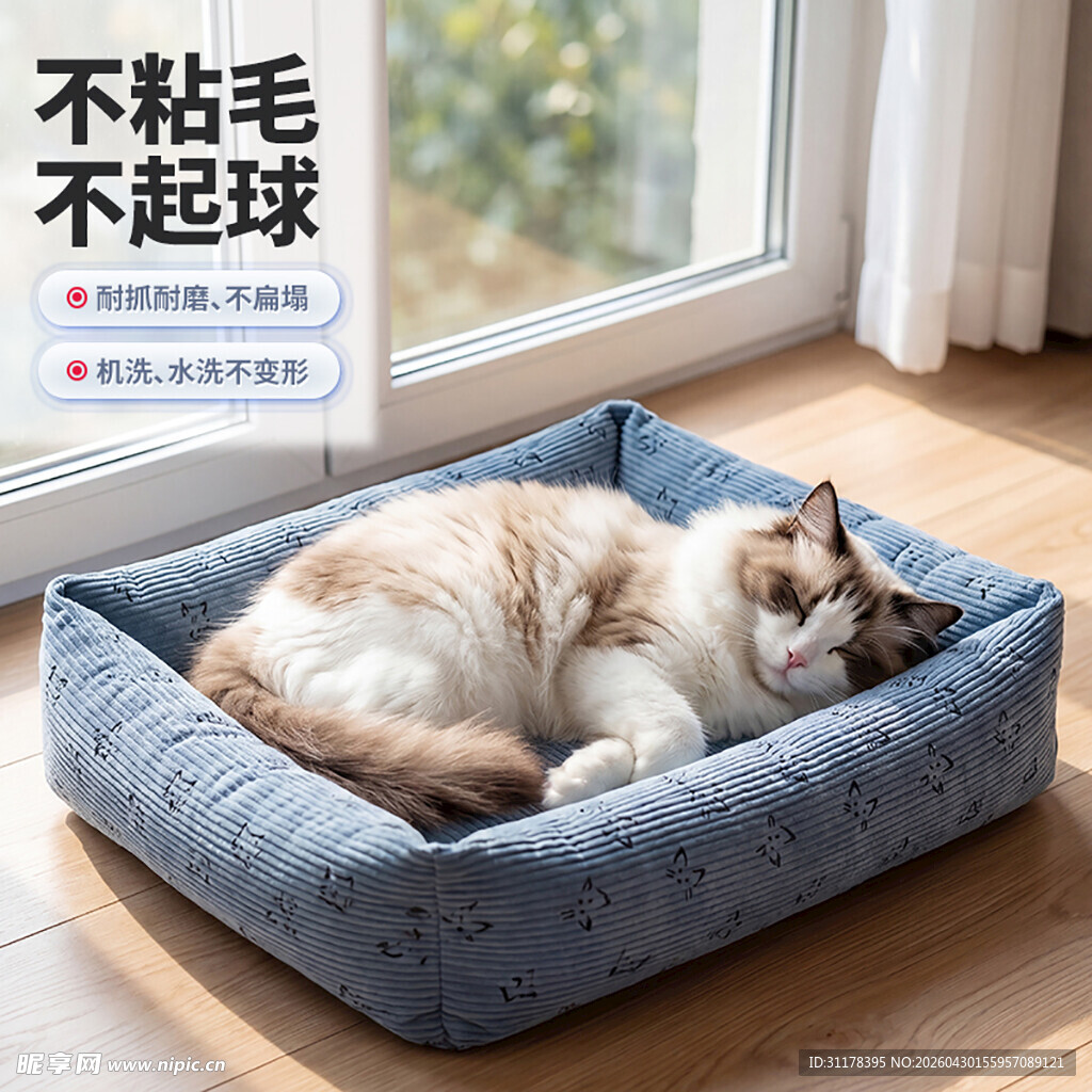 蓝色猫窝主图设计