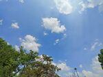 蓝天绿树间的晴朗景致