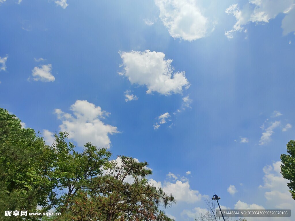 蓝天绿树间的晴朗景致
