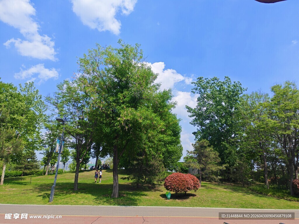 绿树成荫的户外风景