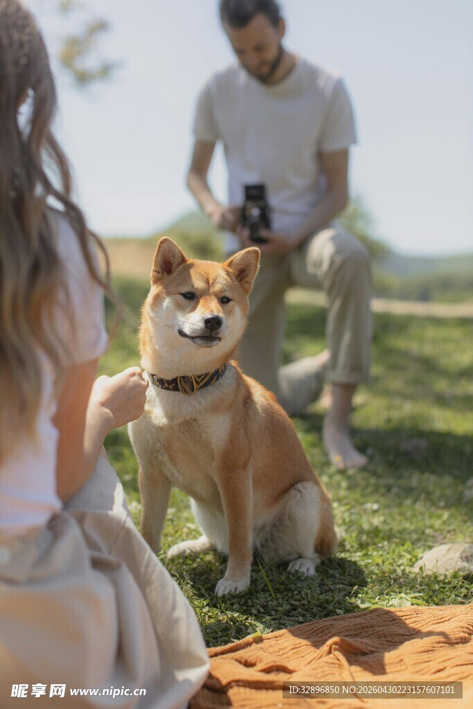 户外人与柴犬惬意相处时刻