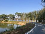 湖畔蜿蜒公路 自然风光美