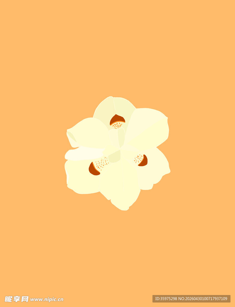 花朵背景图