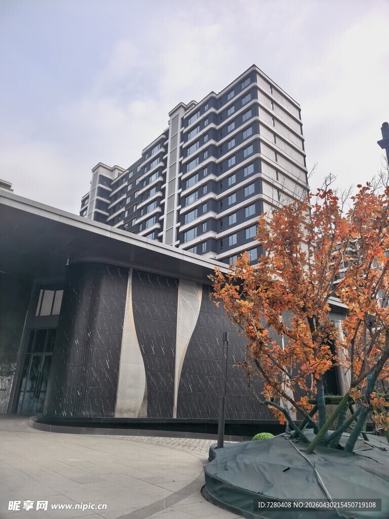 现代建筑旁的秋日景致