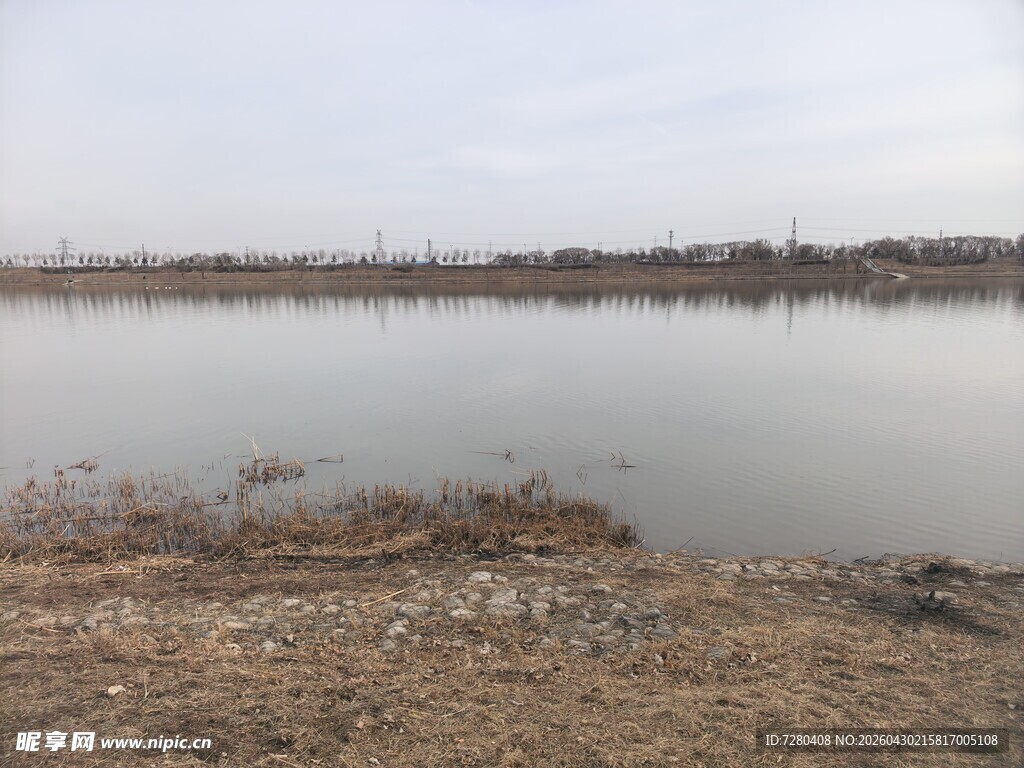 宁静湖岸风景