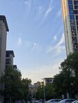 城市街道旁的高楼与蓝天