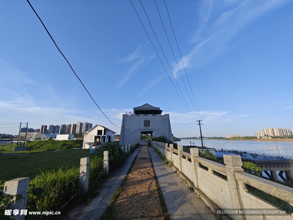 乡村小道旁的宁静景致