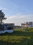 城郊草地与远处建筑景观