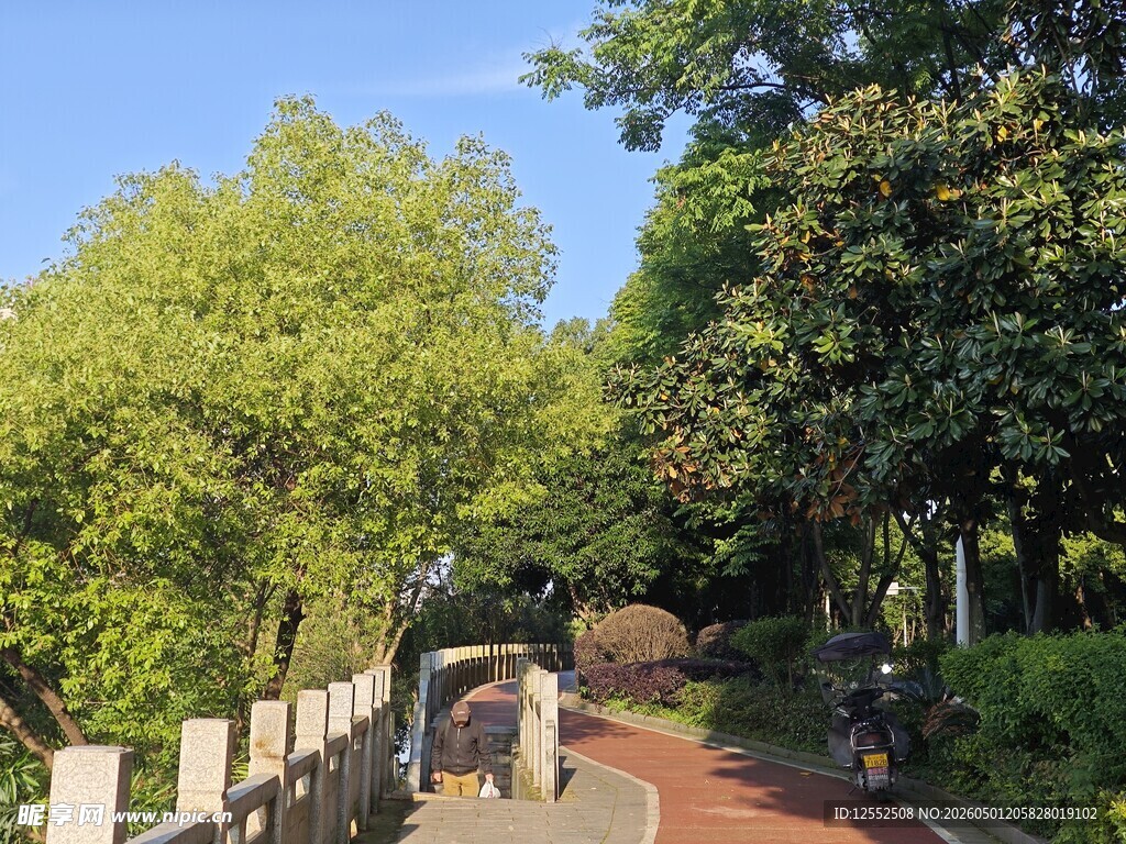 林间漫步小径