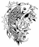 白描鱼线稿