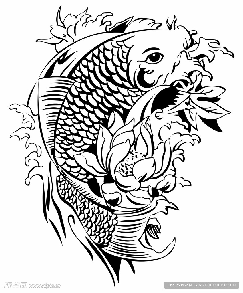 白描鱼线稿