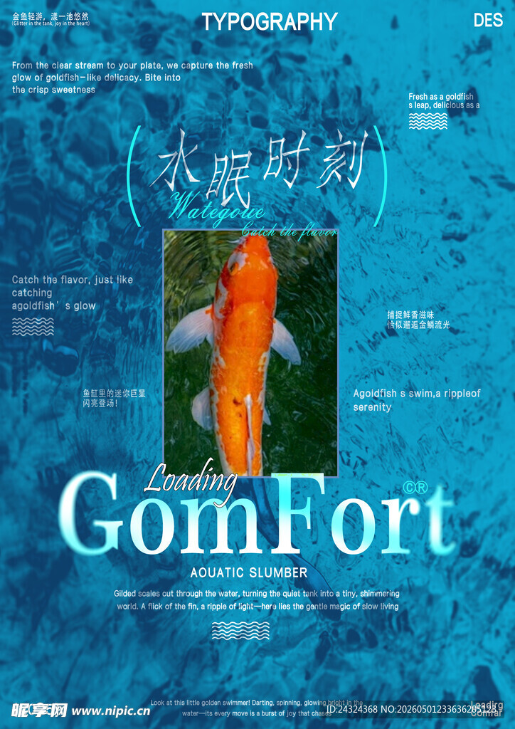 水眠时刻 水族馆 鲸鱼