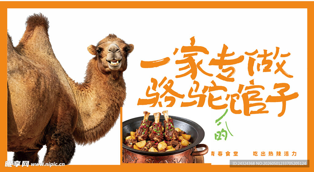 专注骆驼奶的商家宣传图