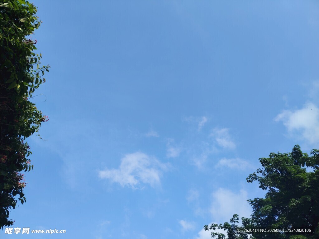 蓝天绿树间的悠然景致