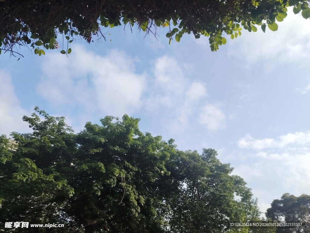 蓝天绿树间的自然景致