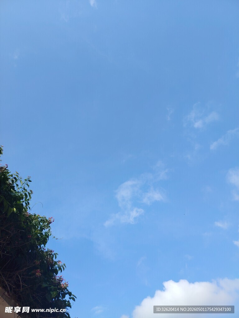 蓝天绿树间的纯净景致