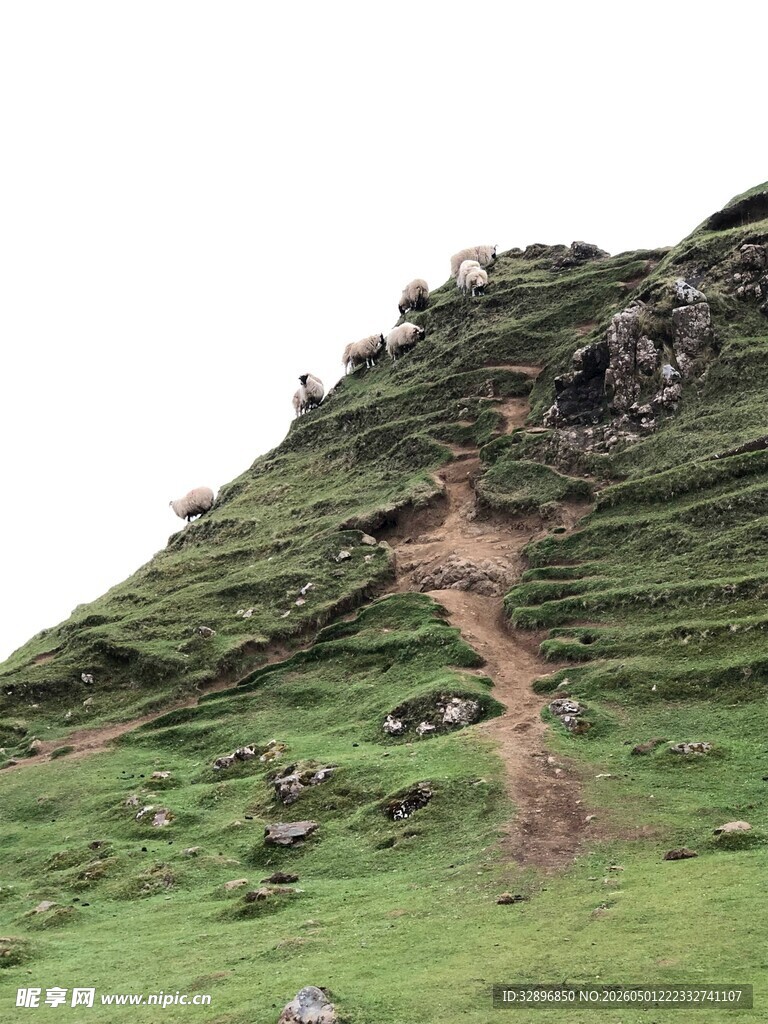 山坡上的蜿蜒小径