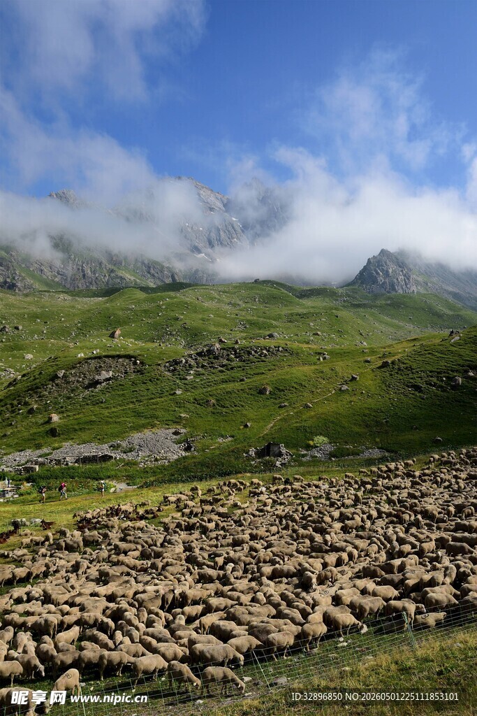 山间牧场景色