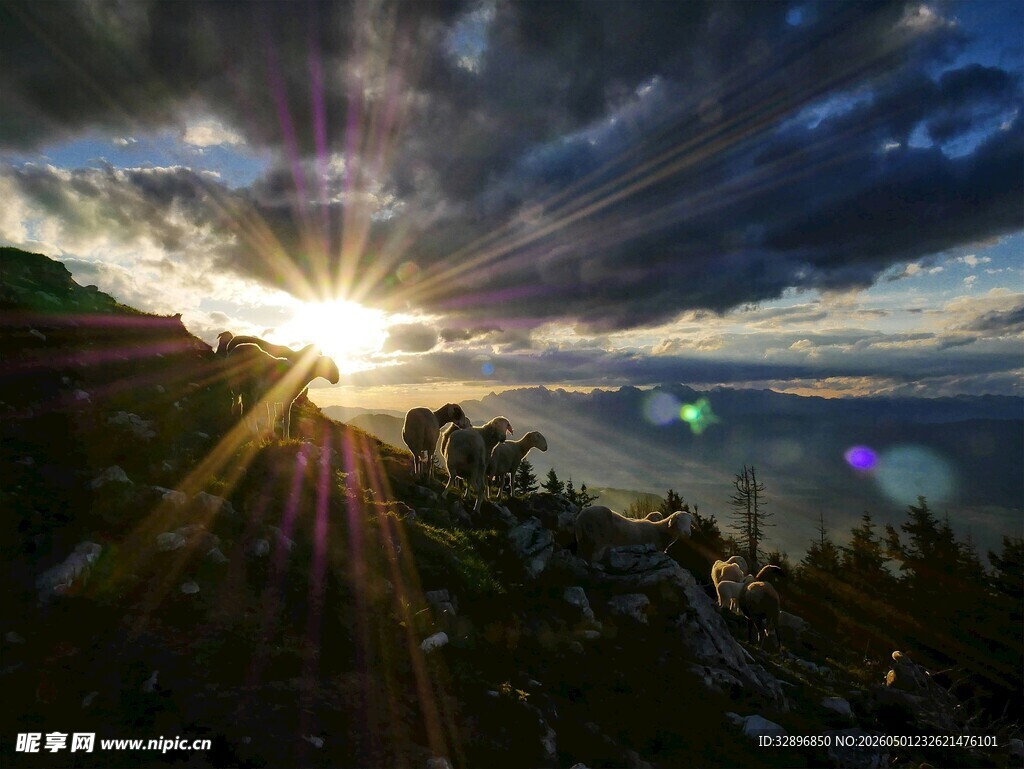 日出时分的壮丽山海景观