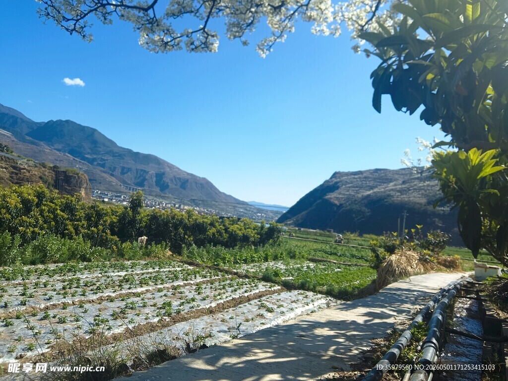 山间农田美景