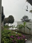 庭院绿植花卉景观一角